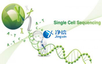中國人自己的單細胞測序儀來了！,Drop-seq